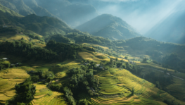 dulichSaPa-1650268886-1480-1650277620
