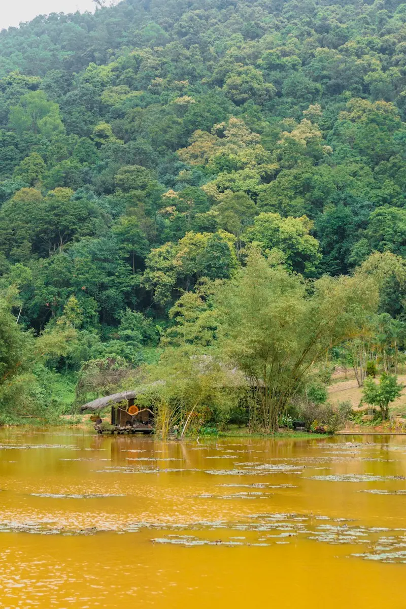 A woman poling her boat under the water palms