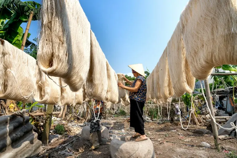 A woman tending rice noodles laid out to dry