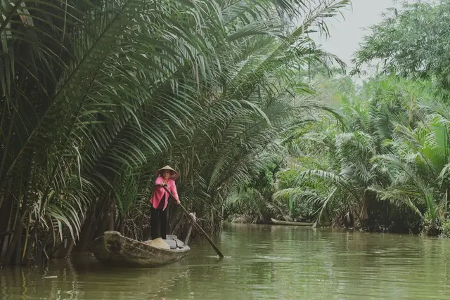 A still green canal through the mangrove forest