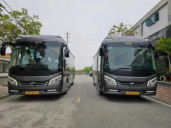 Two 22-seat limousine coaches side by side