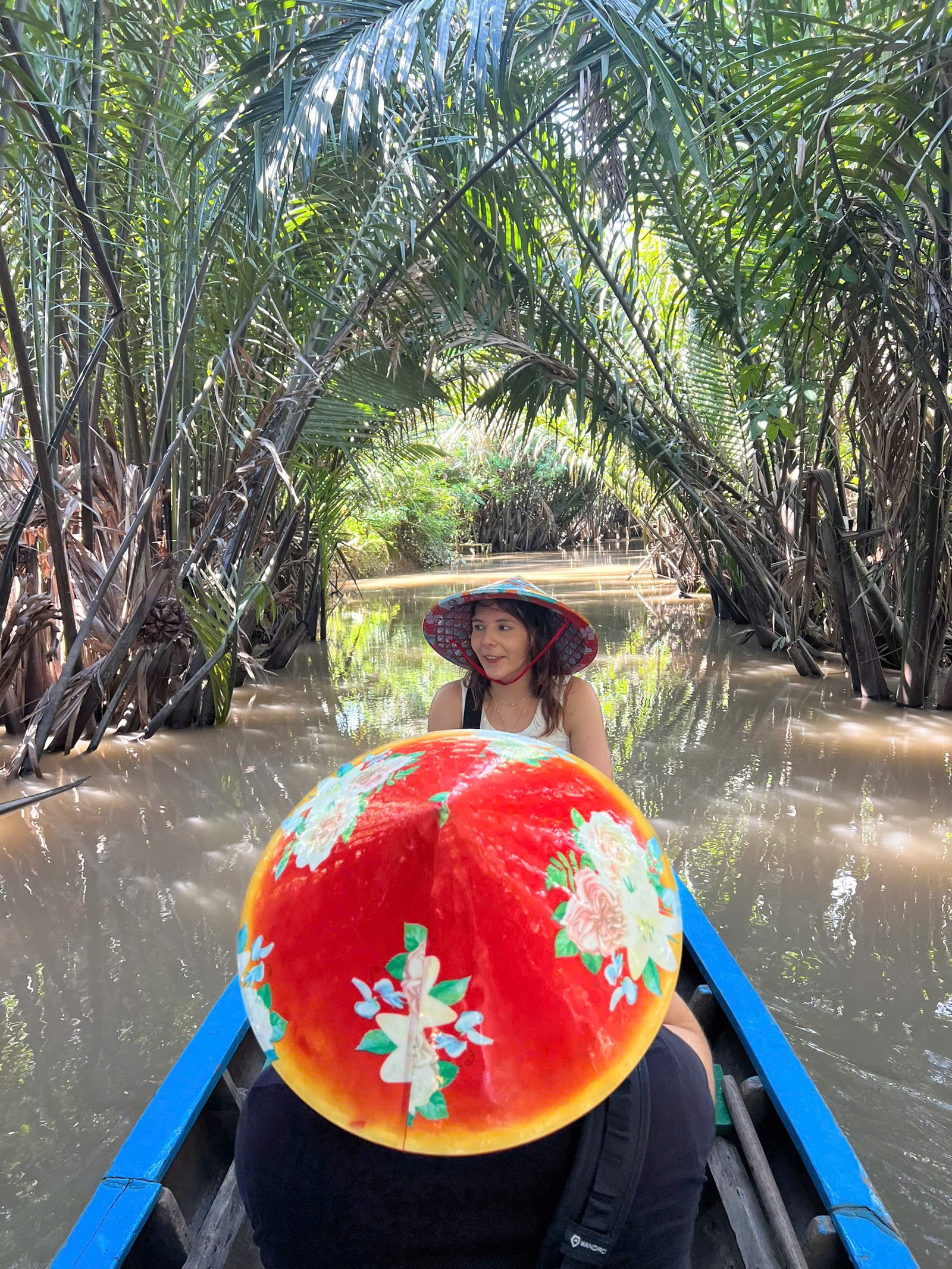 Rowing boat gliding beneath a canopy of water coconut palms