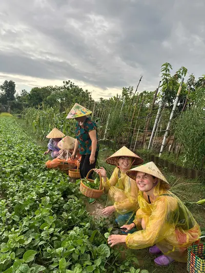Guests harvesting vegetables in conical hats