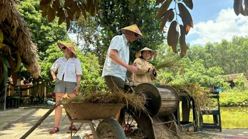 Viaggiatore in groppa a un bufalo d’acqua nel campo