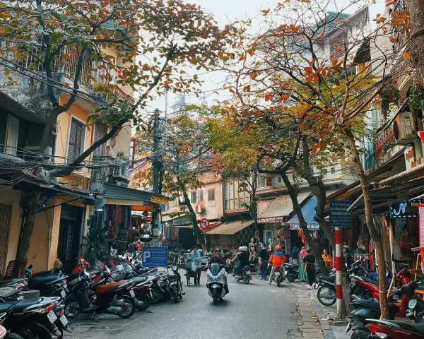 An Old Quarter street lined with shopfronts and autumn trees