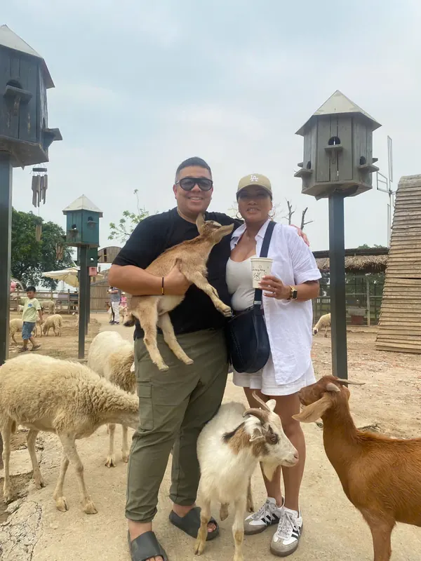Guests in the animal pen, one holding a young goat, with sheep and goats around them